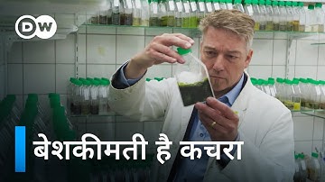 Can Algae Save the World? | DW Documentary Hindi