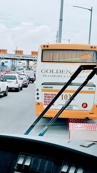 spotted 1032Golden Bee transport