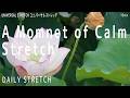 【Daily Stretch】A Moment of Calm Stretch