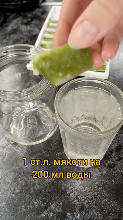Подкормка из алоэ - YouTube