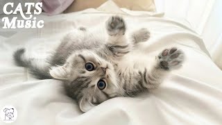 [4K] Playlist of Music for Cats to Relax  Music for Cats  Help Cats Sleep Well and Relax