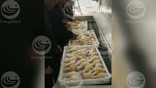 OrangeMech Food Processing Machinery:“Blast freezer”