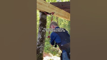 Install a Tree Fort Strut Back Up with Pete Nelson