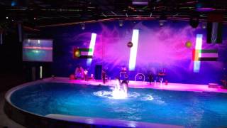 CARPE DIEM: Dolphinarium 2