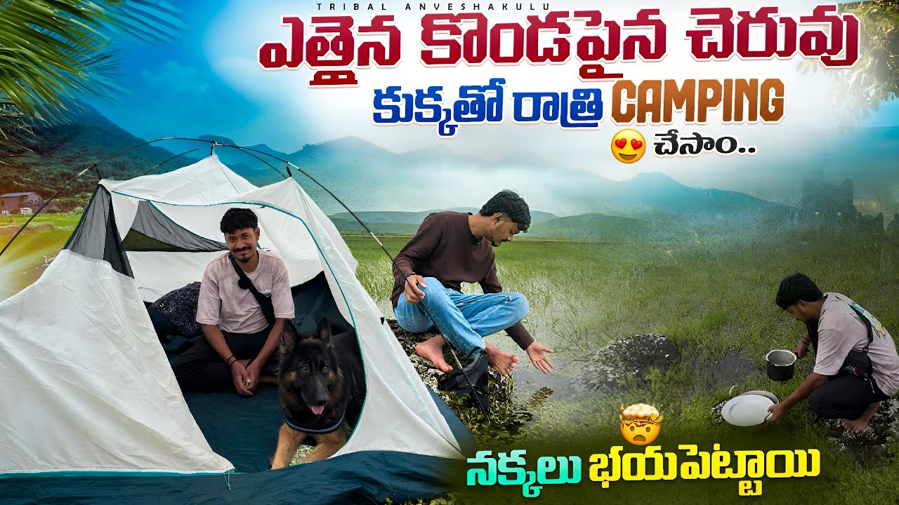 🦊 నక్కలు భయపెట్టాయి 🤯 || night camping on the hill ⛺️ || #arakutribalculture 