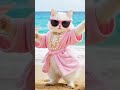 Cat Couple Beach ⛱️ Dance #catvideo #foryou #cutecat #trending #trendingshorts #youtubeshorts