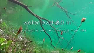 Water Level 8.0 - Grüner See