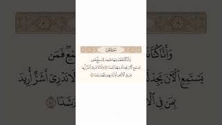 سورة الجن   -    القارئ أحمد العجمي