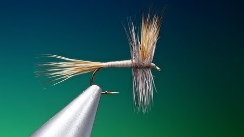 Fly Tying a Grey Wulff dry fly with Barry Ord Clarke