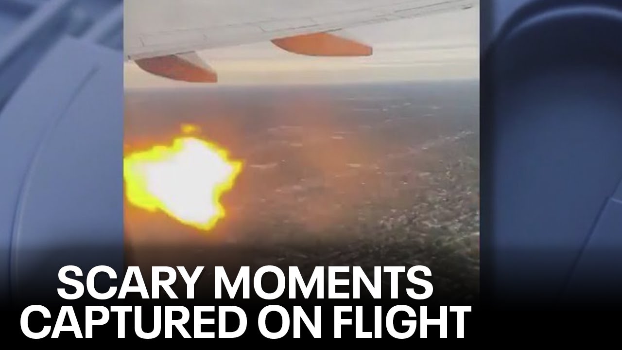 What we know about the American Airlines bird strike on Phoenix
