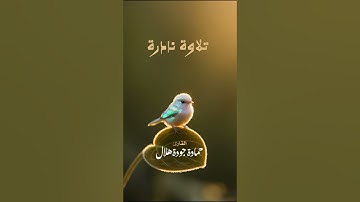 #تلاوة نادرة #راحة نفسية #القارئ حمادة جودة هلال