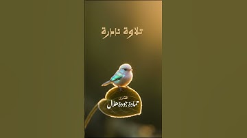 #تلاوة نادرة #راحة نفسية #القارئ حمادة جودة هلال