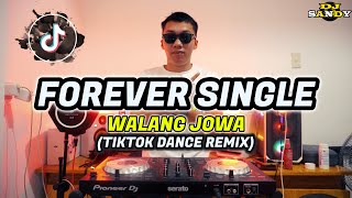 FOREVER SINGLE - Walang Jowa (TikTok Disco Dance) | Dj Sandy Remix