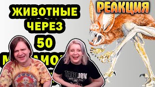 видео: РЕАКЦИЯ НА После человека: Зоология будущего - Краткое содержание After Man: A Zoology of the Future картинка: РЕАКЦИЯ НА После человека: Зоология будущего - Краткое содержание After Man: A Zoology of the Future