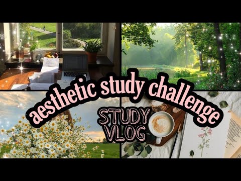 life of NEET aspirants | 4 am study vlogs | 15 hours study vlog | #studyvlog​ #NEET2022 #neet2023