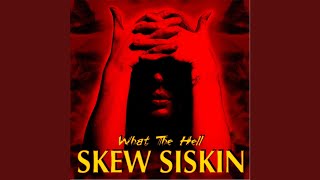 Video thumbnail of "Skew Siskin - Life’s a Bitch"