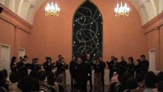 Norgard - Wiigen Lied