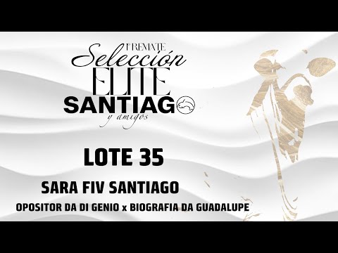 Lote 35   Sara FIV Santiago
