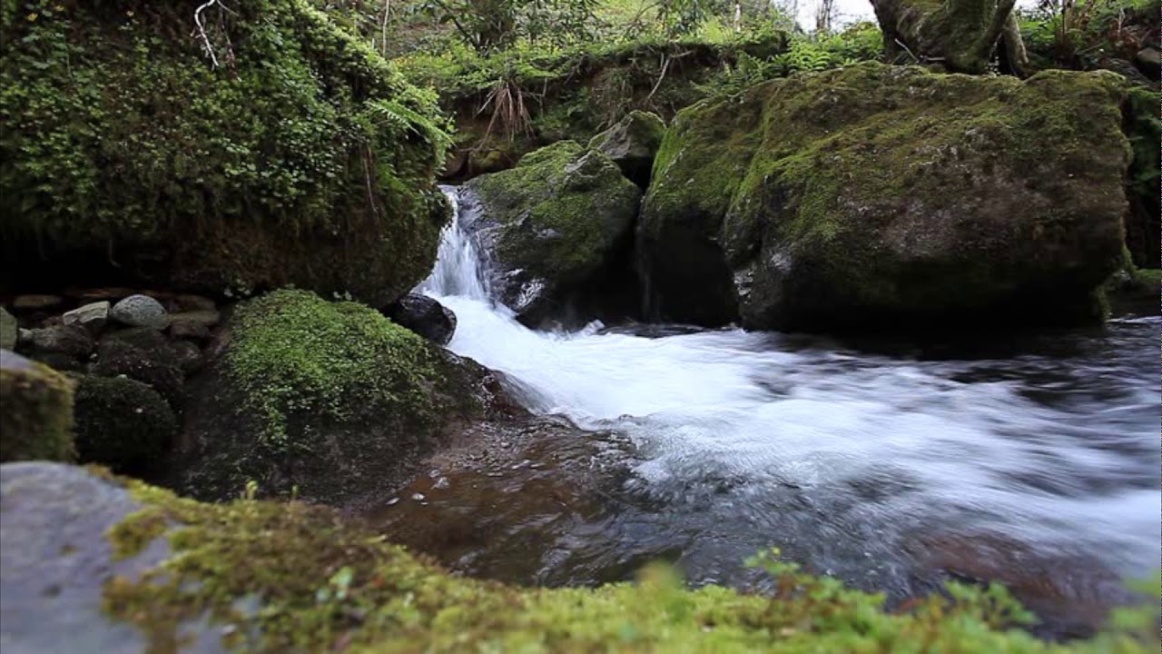 Watch Fanfara Electrónica - River Flow on YouTube Watch Fanfara Electrónica - River Flow on YouTube
