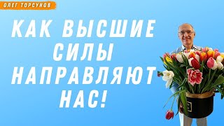 видео: Как ВЫСШИЕ СИЛЫ направляют нас! О.Г.Торсунов картинка: Как ВЫСШИЕ СИЛЫ направляют нас! О.Г.Торсунов