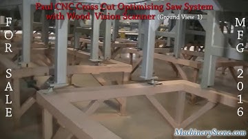 Paul CNC Cross Cut Optimizing Saw System with Wood Vision Scanner - Ground Level Video 1