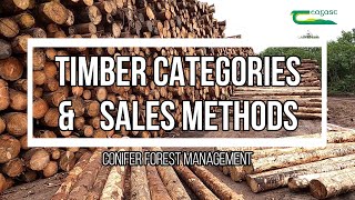 Timber Categories and Sales Methods - conifer forest management