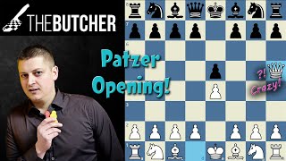 WIN your games fast with the Patzers opening!