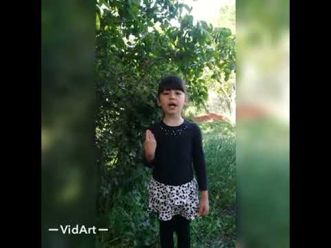 უფლის ციხესთან სისხლისფერი ყაყაჩოს წვეთი   uflis cixestan sisxlisferi yayachos wveti