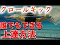 誰でもできるクロールのキックの練習方法【水泳初心者から上級者まで対応】