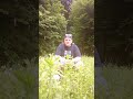Ahoi vom Römerweg in Warmbad 🌼🌻🌸🏵️🐝