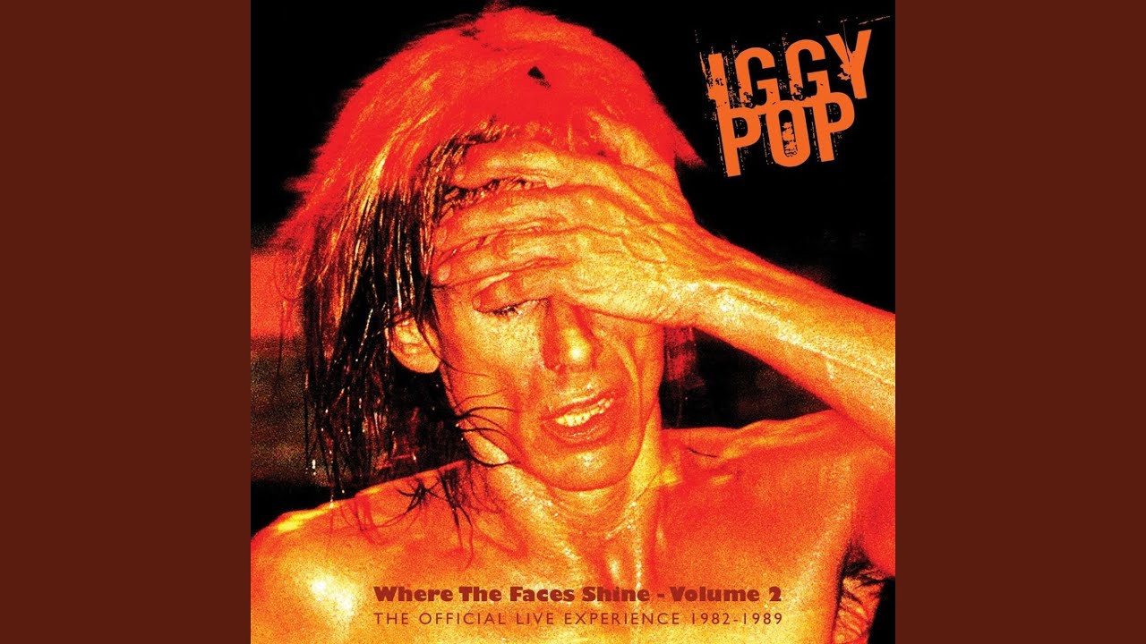 【P.O.W】PUNK ON WAVE vol.1 no.2 Punk & Wave Vol. 1 - The No Future Generation – CD (Compilation