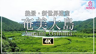 【奄美大島-絶景4K空撮】【世界遺産】行かないと人生損する奄美大島の絶景スポットを紹介2022