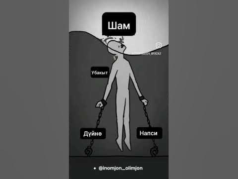 ислом динининг 5 устуни