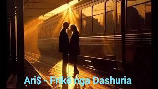 Ari$ - Frikë Nga Dashuria Resimi