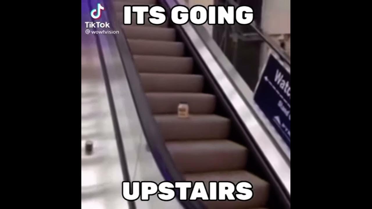 MAYONNAISE ON AN ESCALATOR YouTube