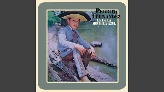 Mi Caballito de Madera