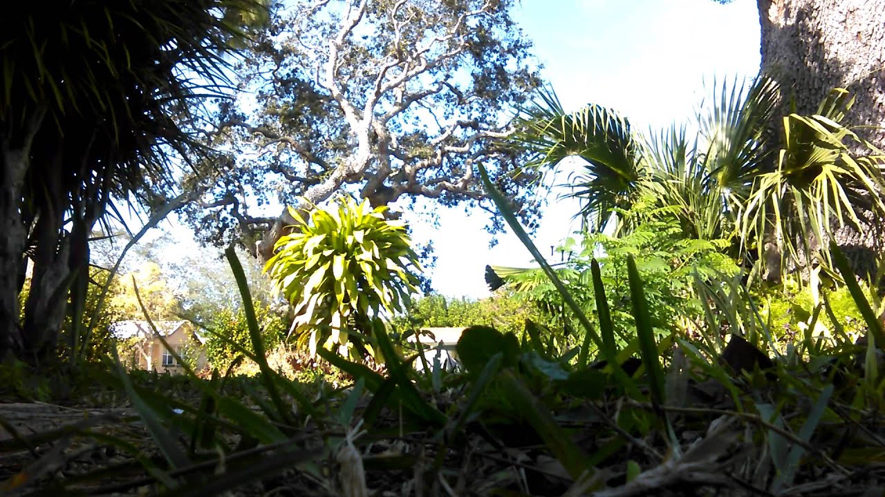 Horn compilation 110ft away from 110psi to 10psi