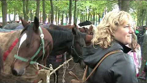 Markt in Zuidlaren 2008 Holland Niederlande