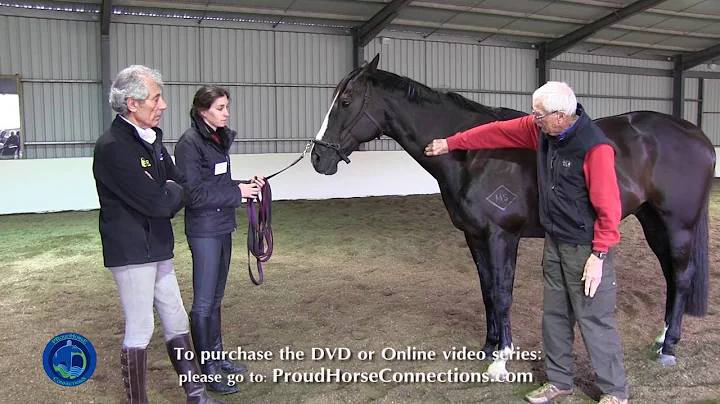 Case Study #4: Jazz - Equine Wellness 2013 with Dr...