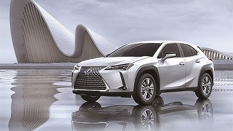 LEXUS UX250H 升級全速域+車道維持可調+自動跟車起停 (逆光)  tesla 特斯拉 comma ai openpilot