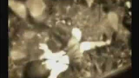 Fatal Frame 2 - Whisper