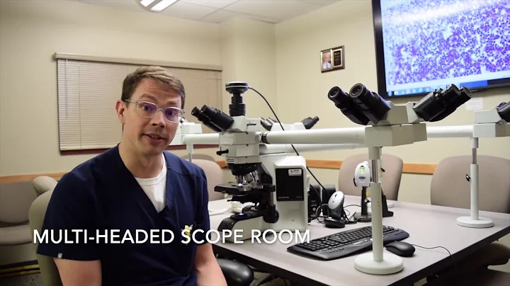 Residency Candidate Tour: Pathology & Lab Medicine at URMC