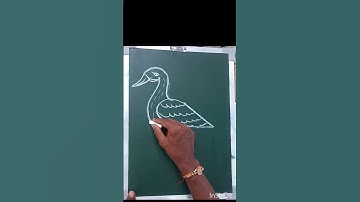 duck drawing step by step tutorial video #youtubeshorts #reels #shortvideo #drawing #art #sketch
