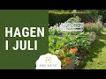 HAGEN I JULI | Grønnsaker og blomster