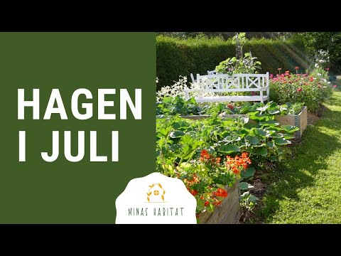 Video: Verter - Velge Et Sted I Hagen Og Plante. Foto