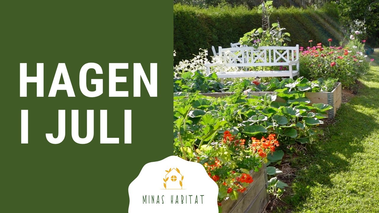 HAGEN I JULI | Grønnsaker og blomster