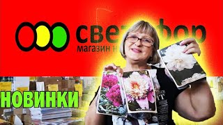 В СВЕТОФОР завезли целый магазин новинок.Давайте смотреть ассортимент и новинки вместе