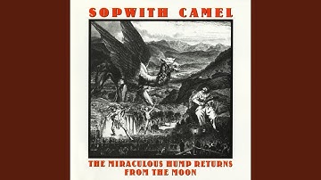 Coke, Suede and Waterbeds