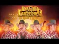 El Gallo Y La Pata | David Y Fernando | Video Oficial