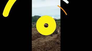 BERKUNJUNG KE UPT.INDUK HORTIKULTURA ARSE SIPIROK